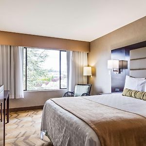 King Room City View